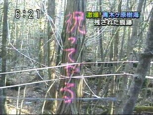 ダステル-DustelBox tweet media