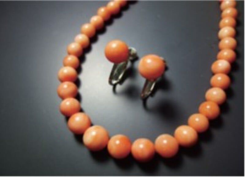 ナ*ナ様 珊瑚模型 9750 未完成品 ジャンク 珊瑚模型 9750 未完成