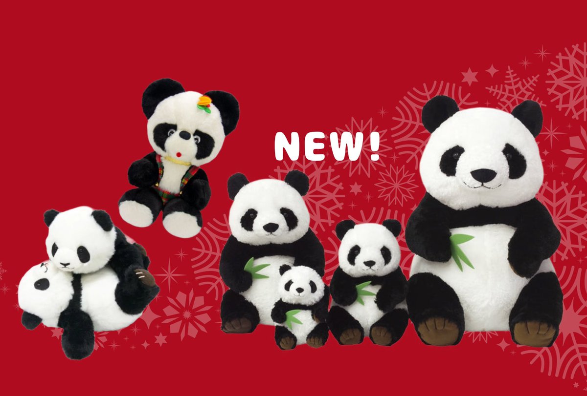 ୨୧‥∵‥‥∵‥‥∵‥‥∵‥‥∵‥‥∵‥୨୧ 🐼最新パンダグッズ🐼 ୨୧