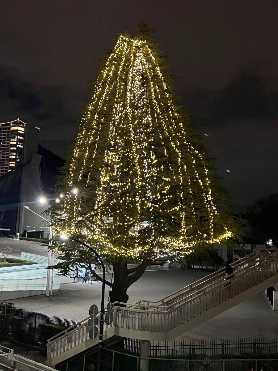 Angie575ce's tweet image. 