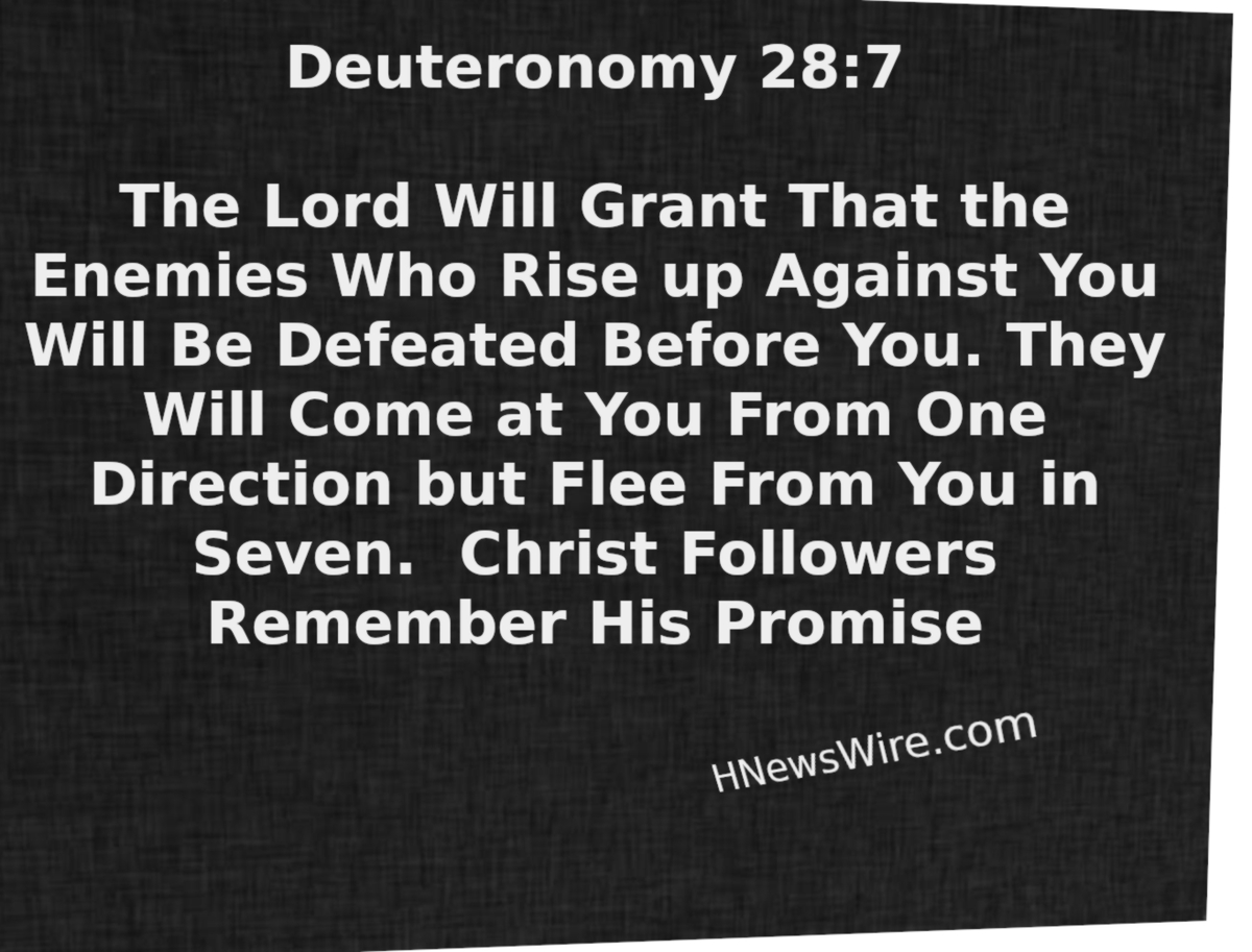 StevieRay Hansen tweet media