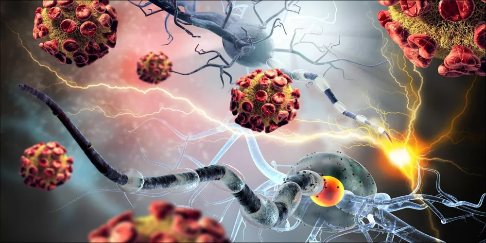 عالم الصحة. التلوث وأمراض المناعة الذاتية 