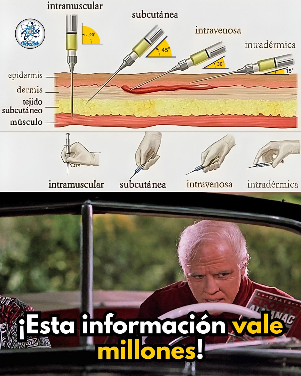 💉 No todas las inyecciones son iguales.
El ángulo y la profundidad sí importan, y mucho. ⚠️

🧬 Intramuscular (90°)
El medicamento llega directo al músculo, donde se absorbe rápido y de forma constante. Ideal para vacunas y fármacos que necesitan acción profunda. 💪

🩸