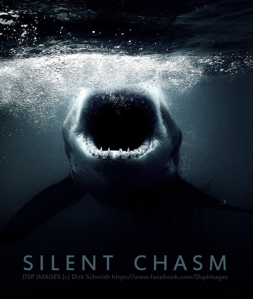 One for the history books… and my collection of white sharks in the dark.