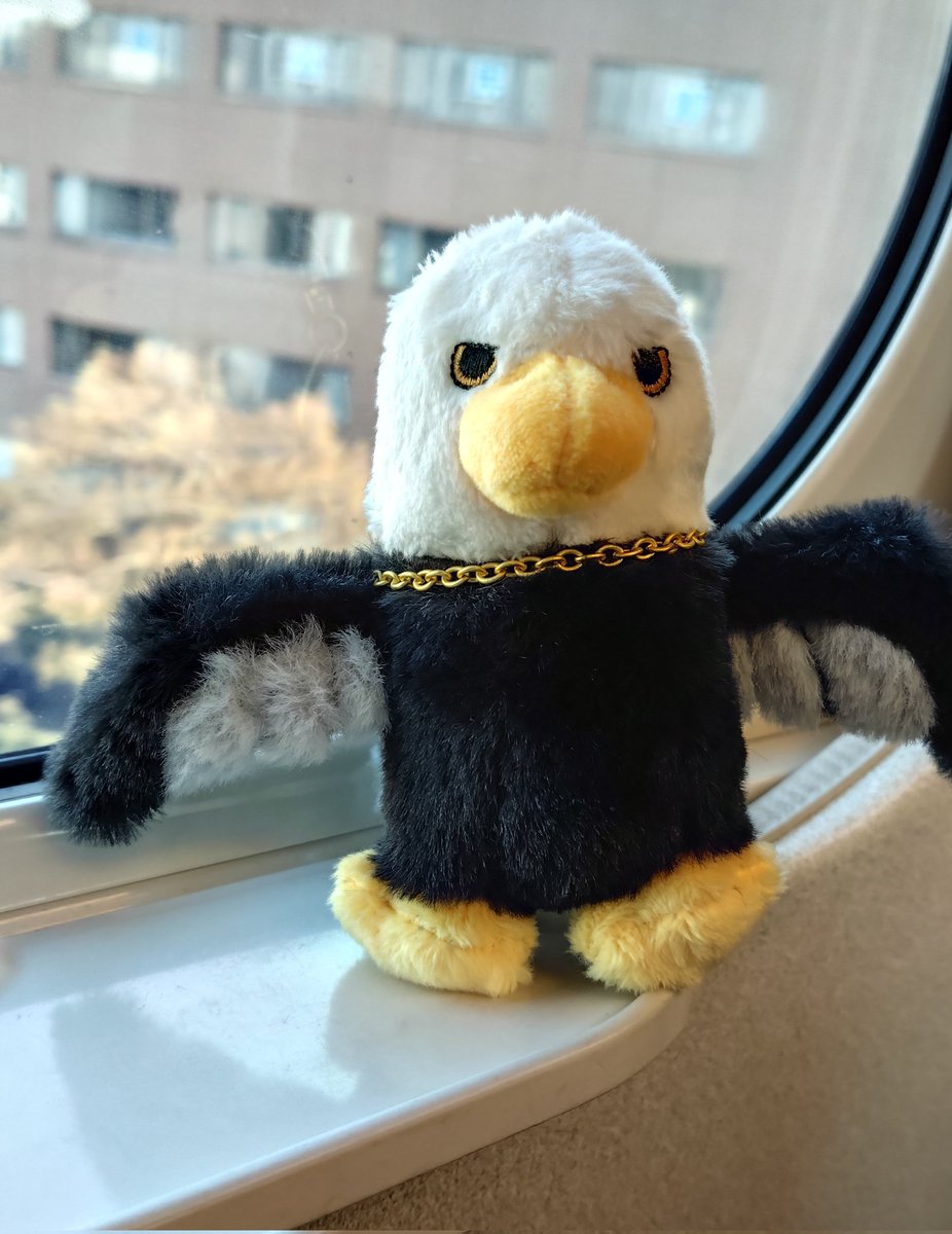nami75029569859's tweet photo. おはようございます🌞
初東京ドーム楽しみ!🦅
広島から鳥さんと一緒に向かってます🚄
行ってきまーす🍏
#BABELnoTO
#MrsGREENAPPLE https://t.co/qgdnrnvIhw