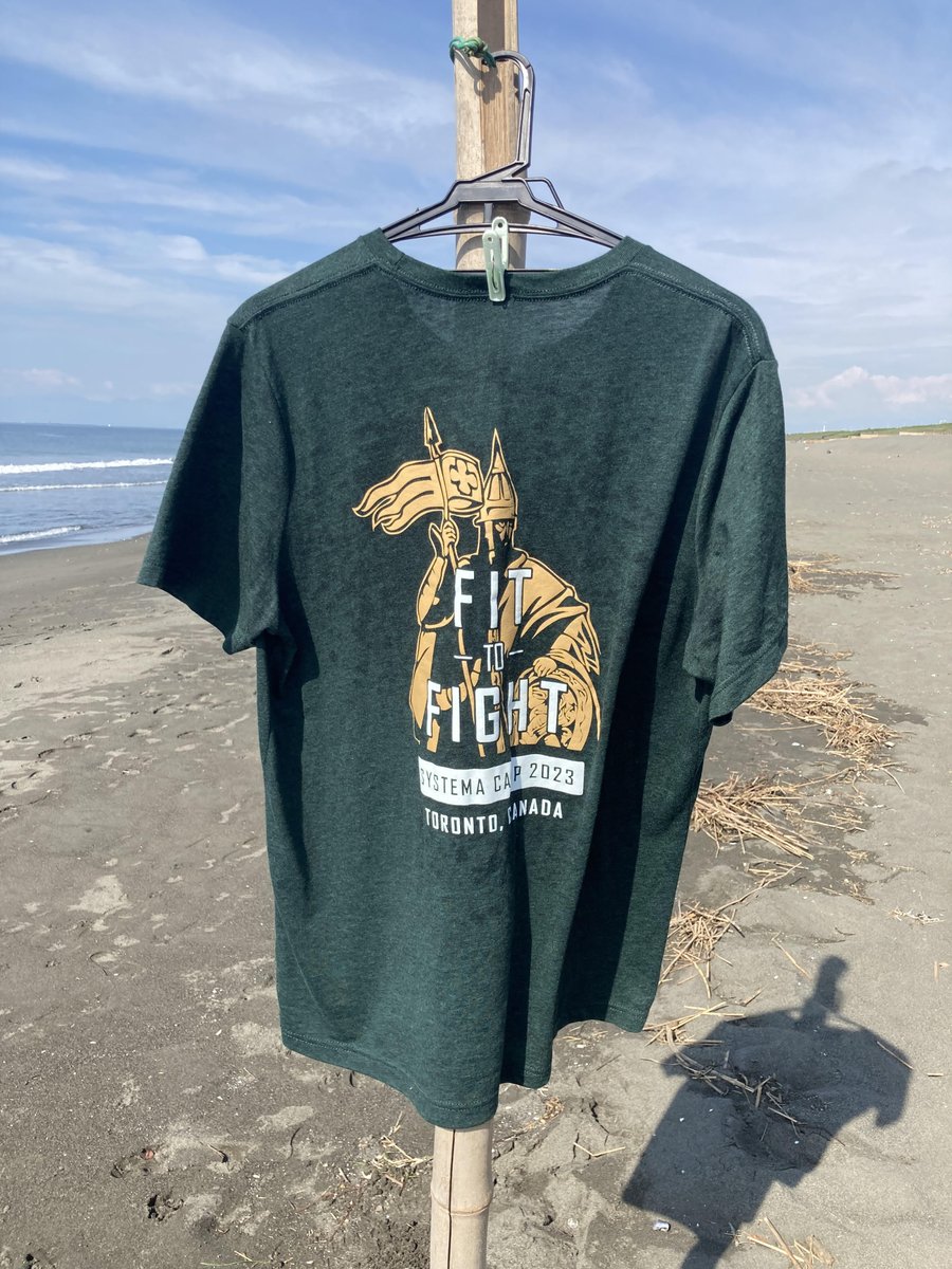 Systema T'style MinamiFujisawa tweet media