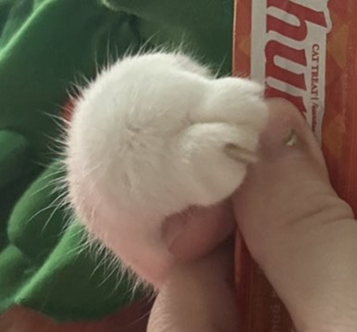 gasket 🤍 jasper tweet media