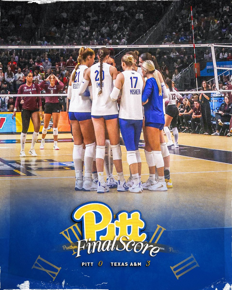 Pitt Volleyball tweet media
