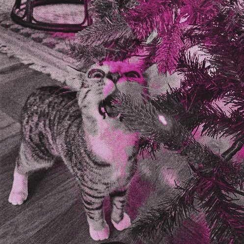 ᅠᅠᅠ
🕸 ⸼ ⊹ ࣪ ˖ Amo vocês mais que tudo nesse mundo... ֶָ֢
ᅠᅠᅠ