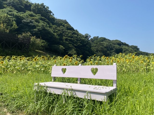sakuya0865's tweet photo. 大切な人
今日も健やかに 穏やかに過ごせますように
毎日願っています*ﾟ

愛のアップデート は続くよ https://t.co/vEeNOVjD7E