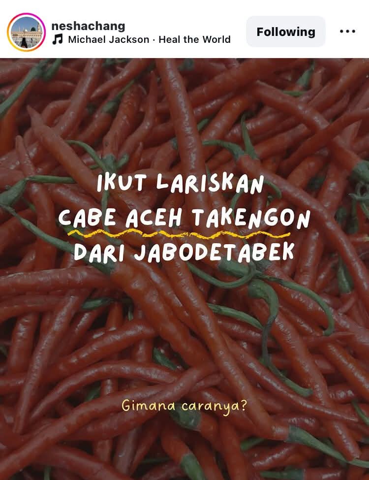 ferizandra tweet media