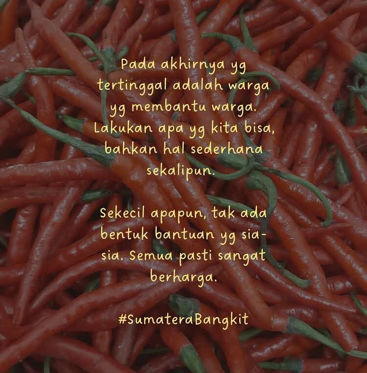 Ikut lariskan cabe Aceh Takengon...

Cabenya udah sampe di Jakarta... pembelian minimal 1 kg... dikirim dengan ojol atau kurir setempat...

Kontak : instagram.com/neshachang?igs…