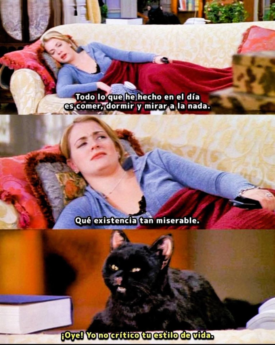 DiloConGatitoz's tweet image. Salem 🐈‍⬛