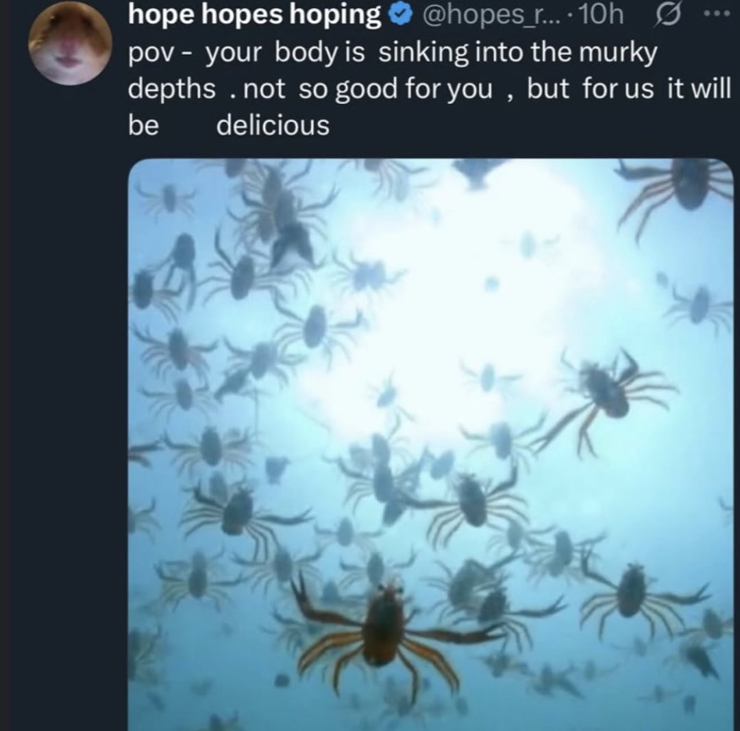 Dark,Odd,Conspiracy tweet media