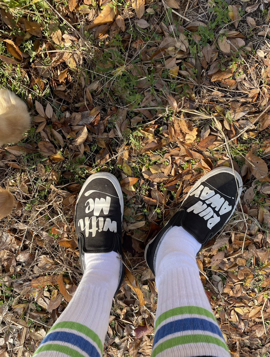 今日もファミマソックス🟢

スニーカーは解散VANS

#ファミマ802