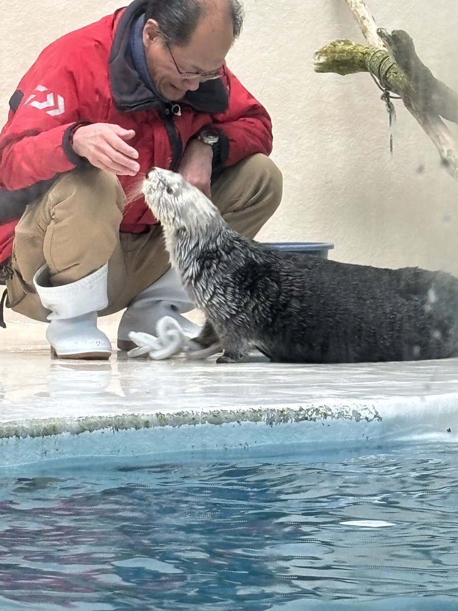 キラちゃん ギラちゃん東京にいらっしゃい🗼✨ これまででもう案内出来るところは
