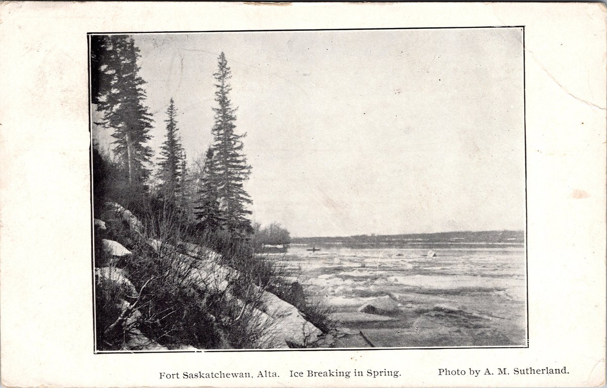 The Daily Postcard tweet media