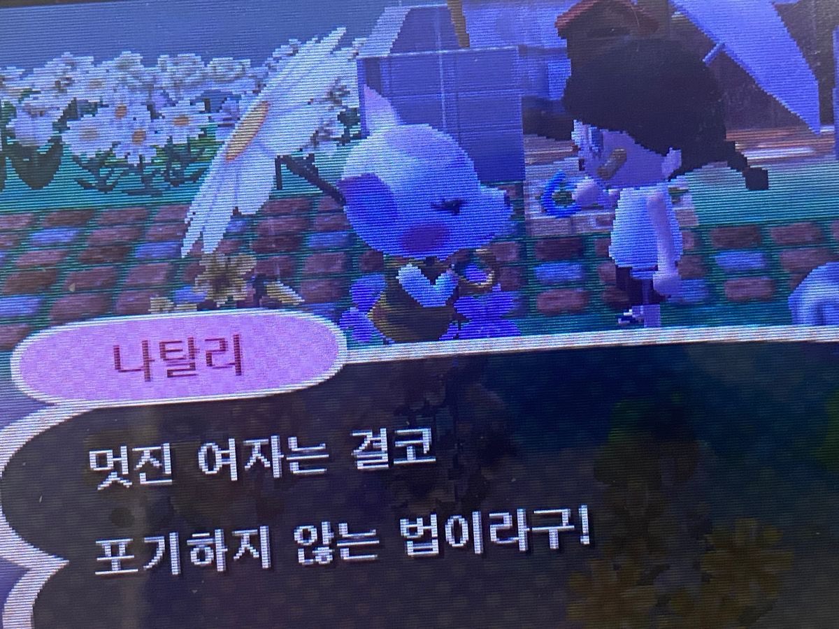 내가 좋아하는 문장 (@loved_sentence) on Twitter photo 