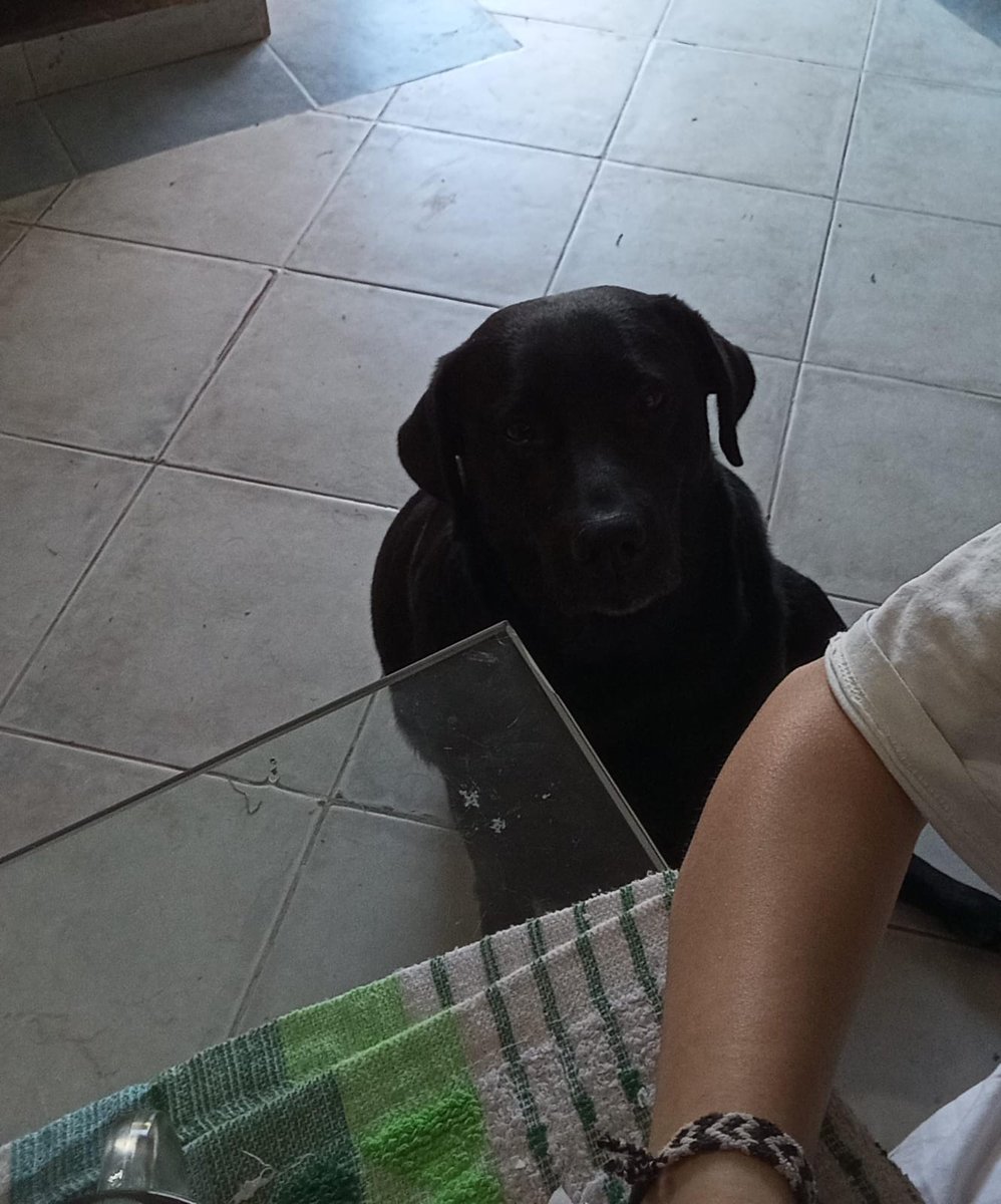 _rubiuschikito's tweet photo. @ElAlexQuackity https://t.co/kibiwmOuM6
para mi perrita https://t.co/nFF9vIs6I1