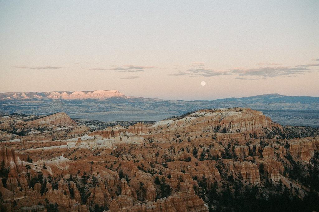 captsingh's tweet image. Good morning @TawandaButche1