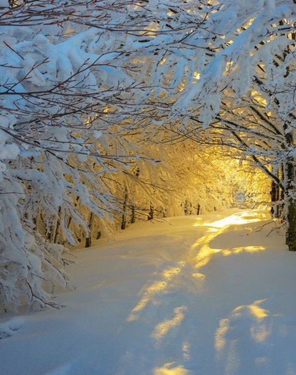 QRebells's tweet image. おはよー ちょっとだるい日。少しだけ昼寝しよ。ゆっくりする日 🌙 🏗️