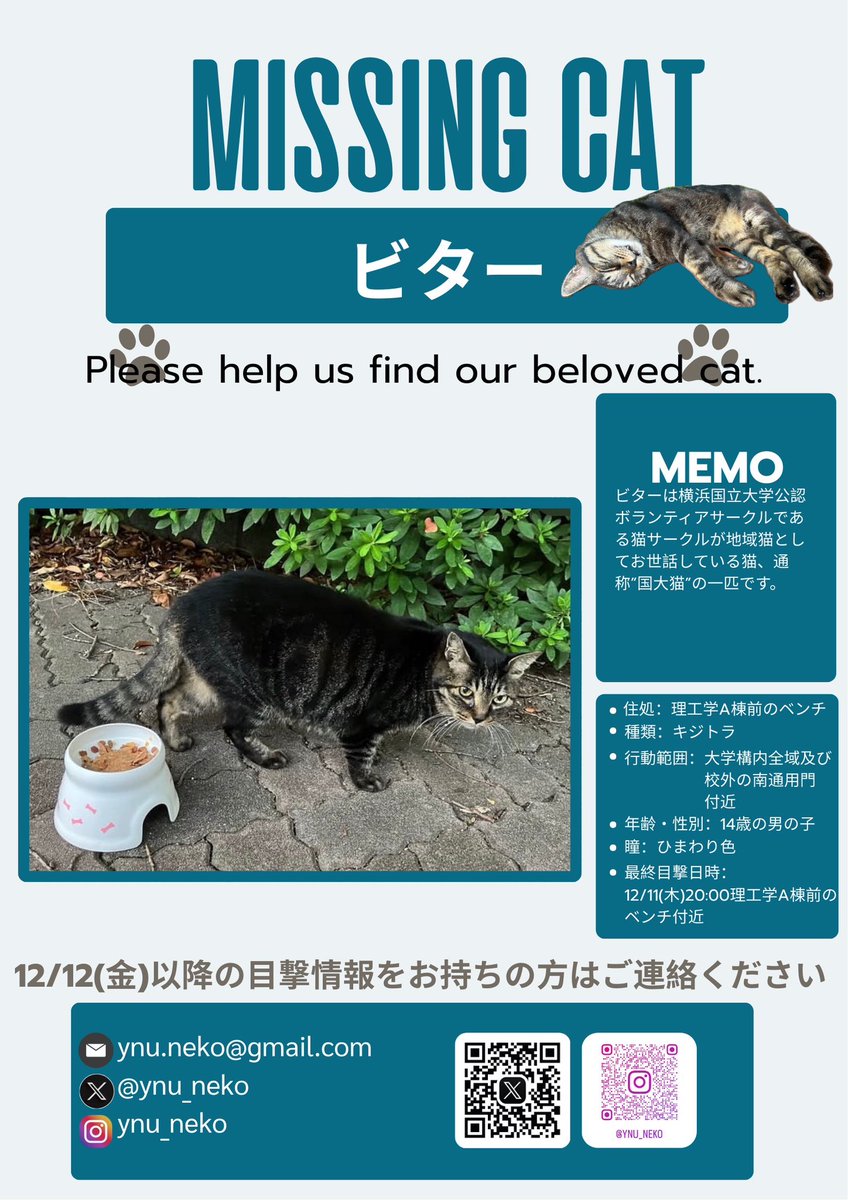 ynu_neko's tweet image. 私たちがお世話している地域猫のビターが見つからないまま1週間が経過しました。
横国理工A付近を住処にしていますが、近頃は大学内全域至る所に出没していました。
捜索・拡散のご協力お願いします🙇‍♀️

 #迷い猫  #迷子猫  #横浜市  #保土ヶ谷区  #拡散希望RPご協力お願い致します  #横浜国立大学