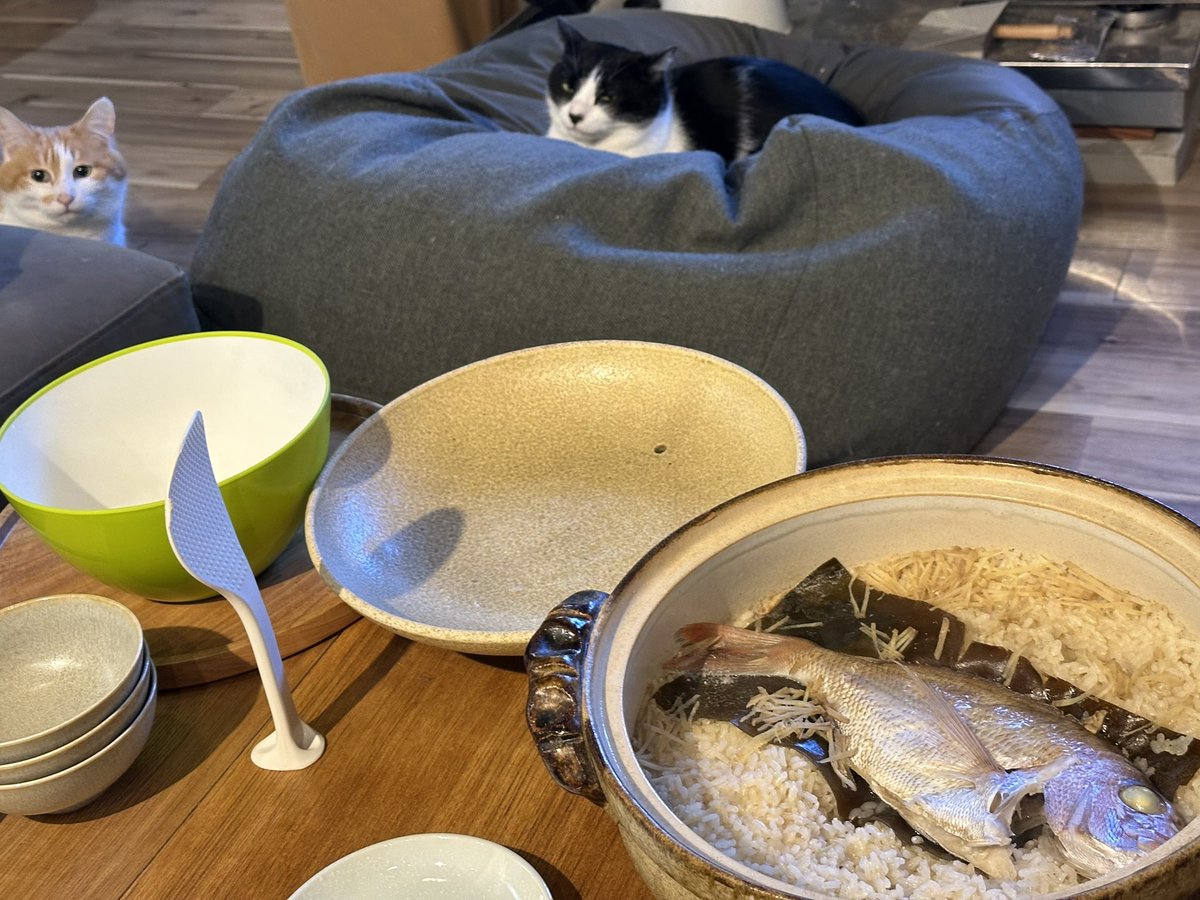 なつめ (@sauntm) / Posts / X