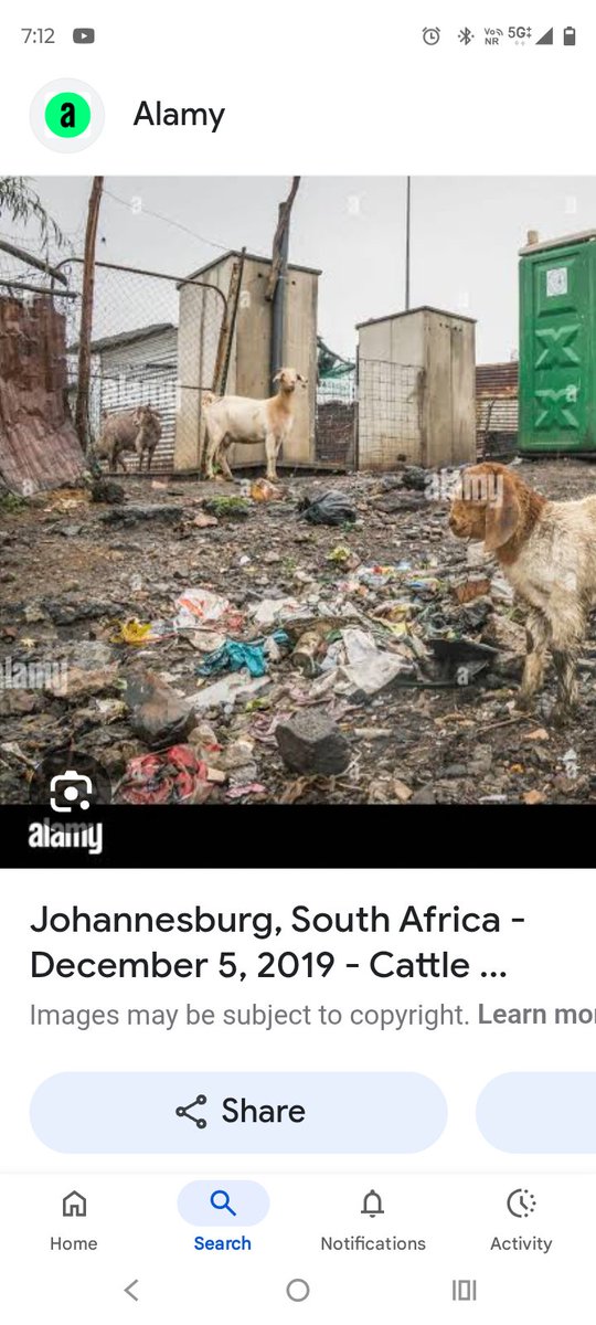 abayan_2017's tweet photo. @Yknip1 @Jesii_ca_M See ur own country idiot.first u must wipe ur ass.then cleaning others. https://t.co/Xey2Entpz7
