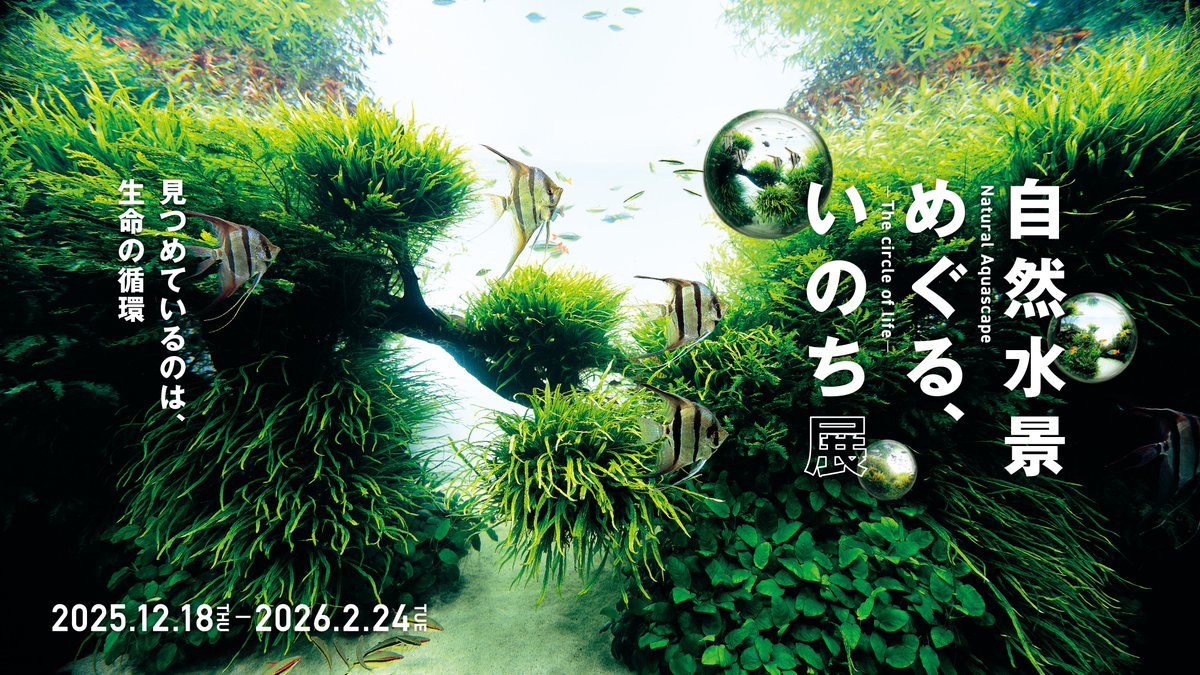 アクアデザインアマノ ADA (@ADA_Japan) / Posts / X