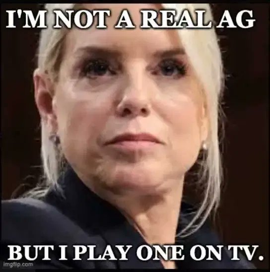 wolf_patriot737 tweet media