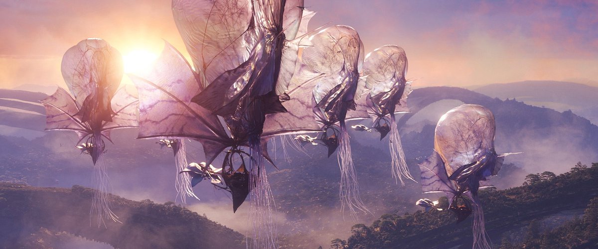 The Moonlight Warrior 🌙 tweet media