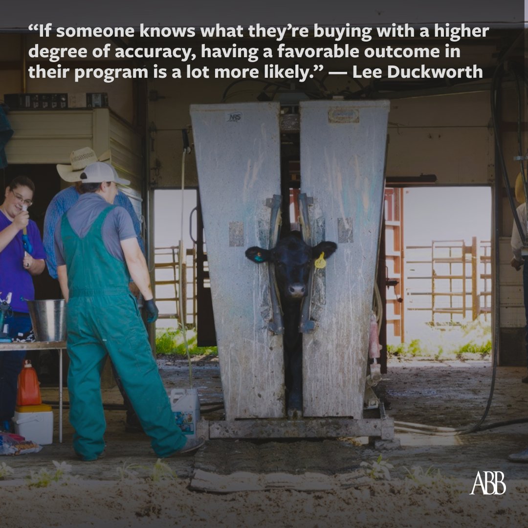 Angus Beef Bulletin Team tweet media