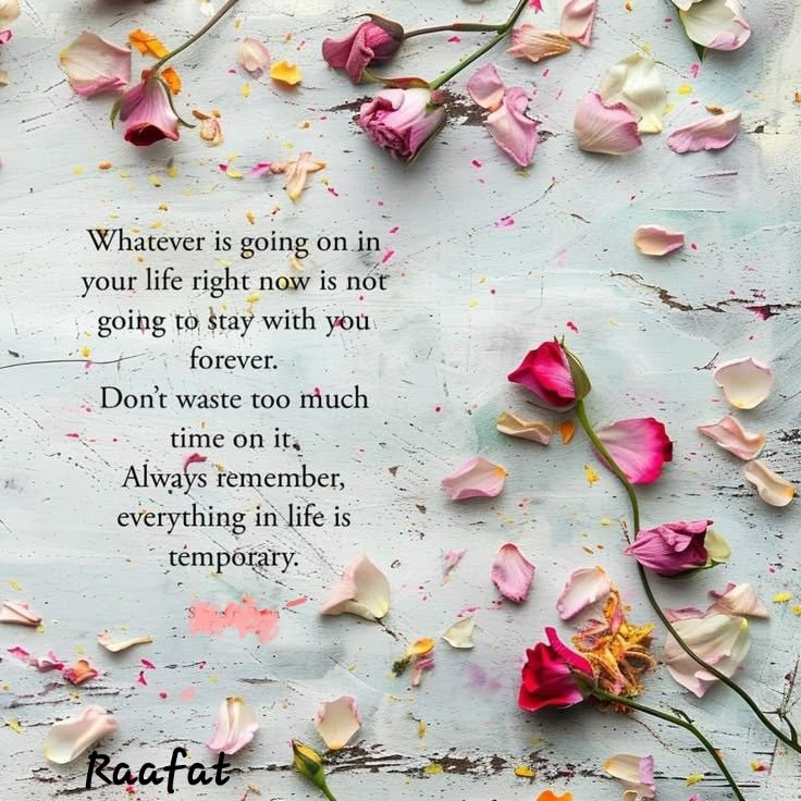 Blessed Friday    جمعه مباركه 
#Morning 
Dec 19th-25