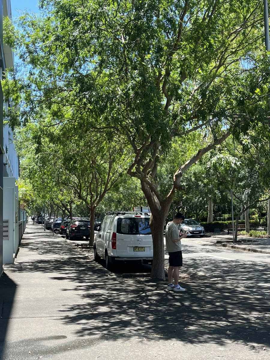 Philip Thalis tweet media