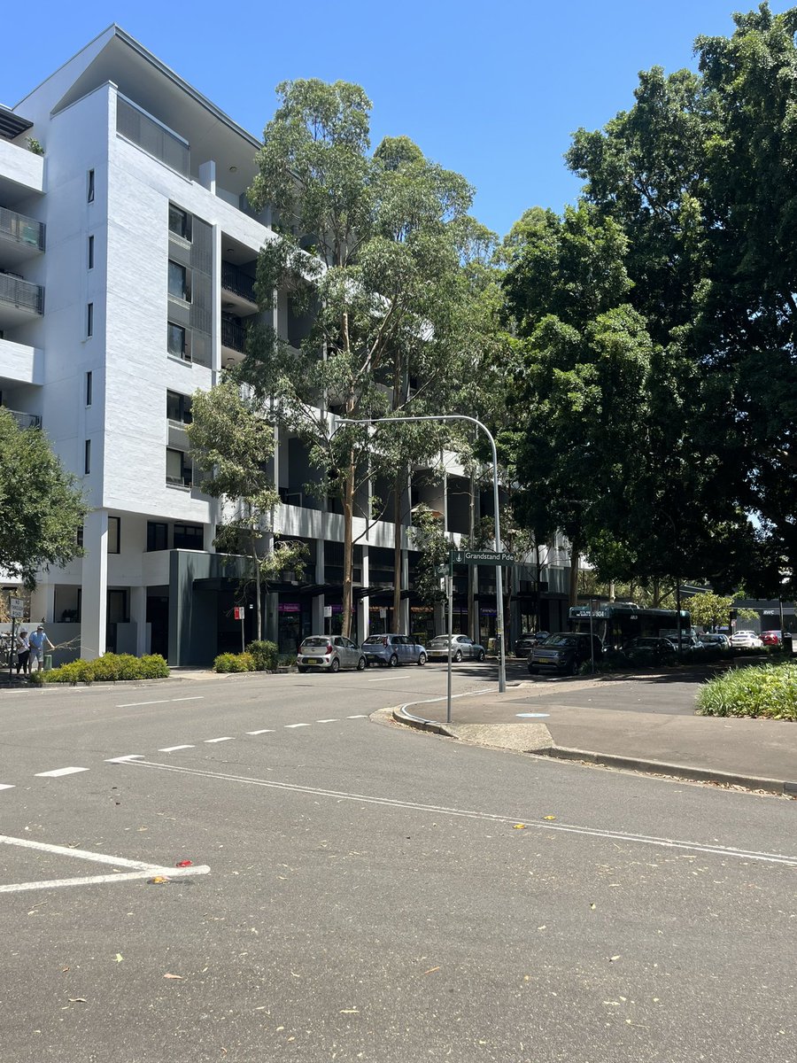 Philip Thalis tweet media