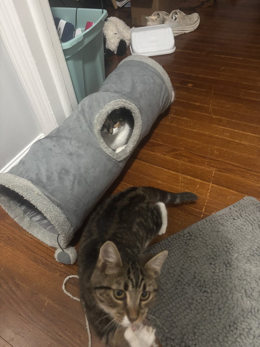 jack jones interrupted blossum’s tube time