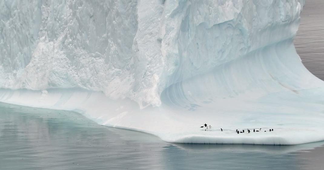 sofisall's tweet image. Imágenes maravillosas tomadas con dron desde la Base Artigas. En la última foto se puede ver el tamaño del iceberg comparado con los pingüinos, la Antártida nos sorprende todos los días!
Créditos para Andrea Neris y Victoria Fernández.