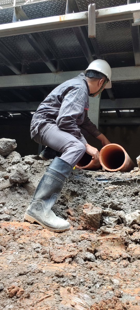 膠膠 奇犽 tweet media