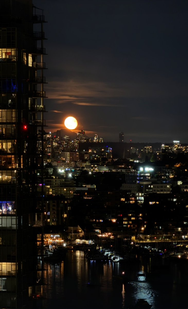 officialkoosh's tweet image. GN Everyone