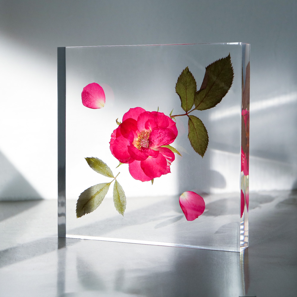 オンラインストア】 植物が持つ色をそのままに、プレート状のアクリル