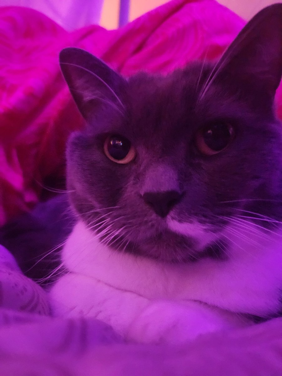 Bah pims t'es pas contente d'être en vacances ce soir ?