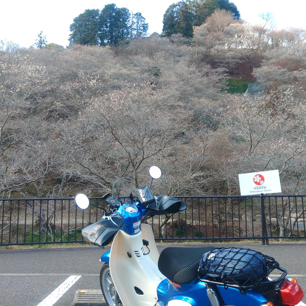 1973tocchin's tweet photo. シェルパさんと泣き別れのあと、山道をのんびり走りながら明智経由でいつものミルさんへ。
珈琲☕とチーズケーキでティータイム😋。
帰路道すがら盛期終わった四季桜🌸を眺めて武士帰宅🏠️👣。

#スーパーカブ110
#明智鉄道
#珈琲ミル
#小原四季桜🌸 https://t.co/hy3PCggad7