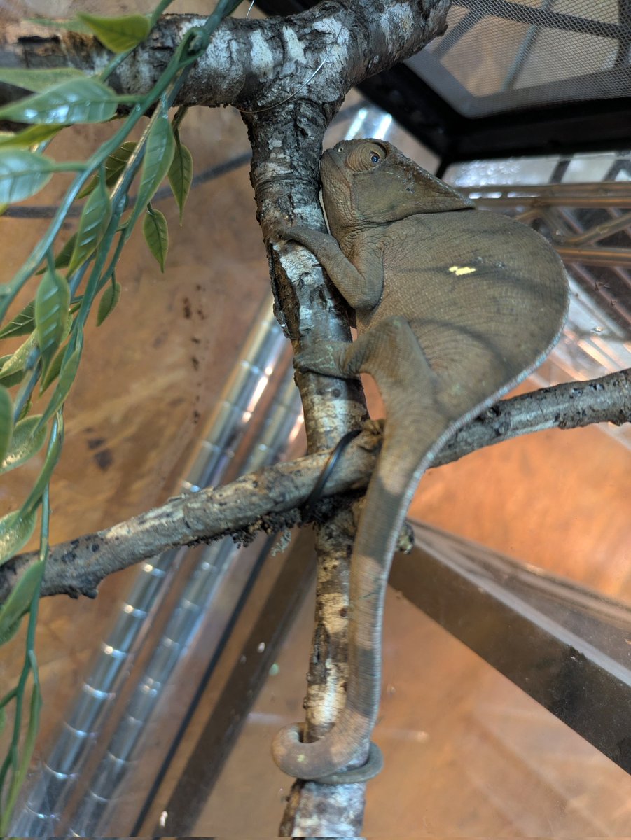 ももれおん😺 (@momoleon2357) / Posts / X