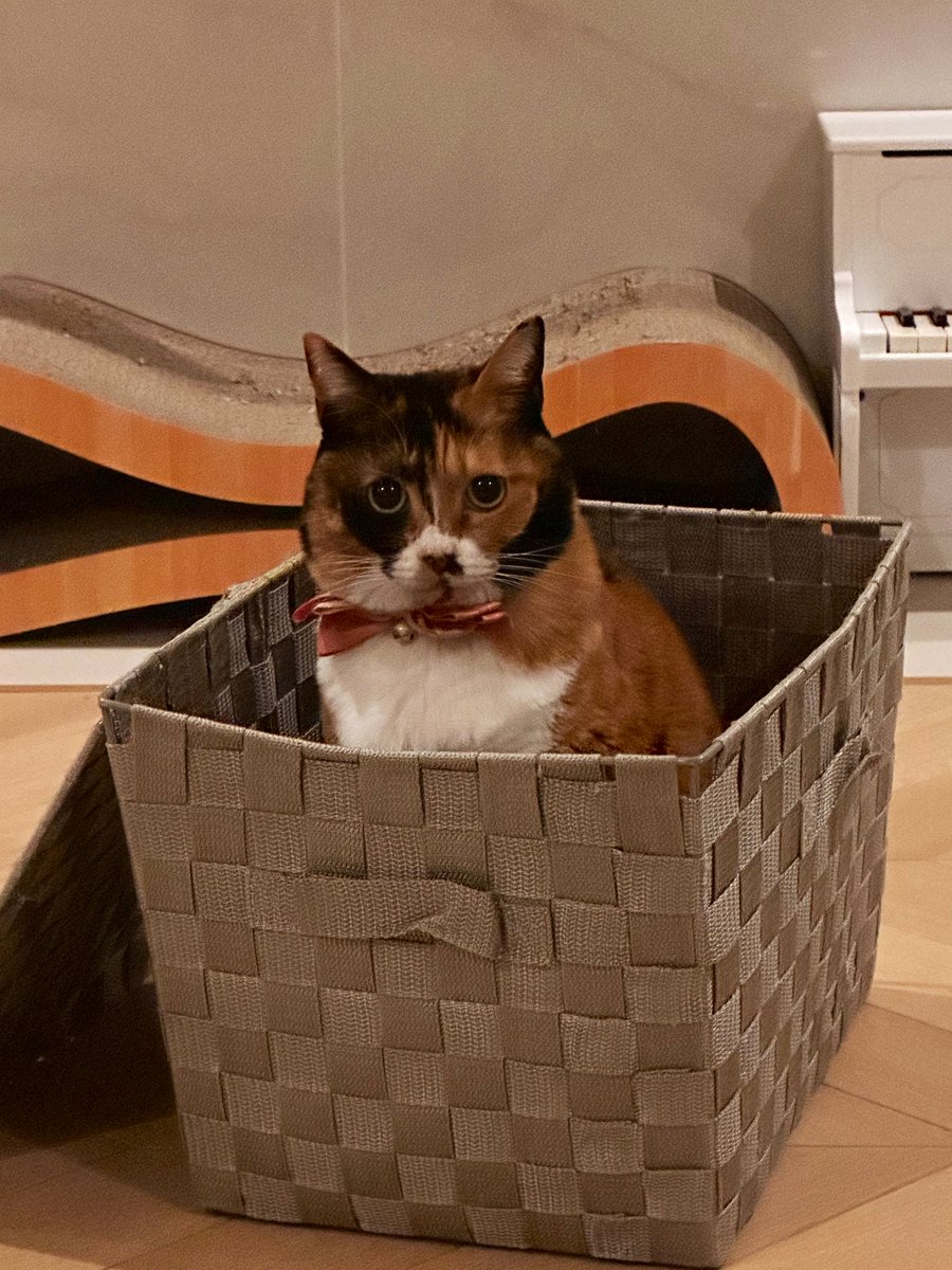 元鈴木さん (@Motosuzukisan) / Posts / X