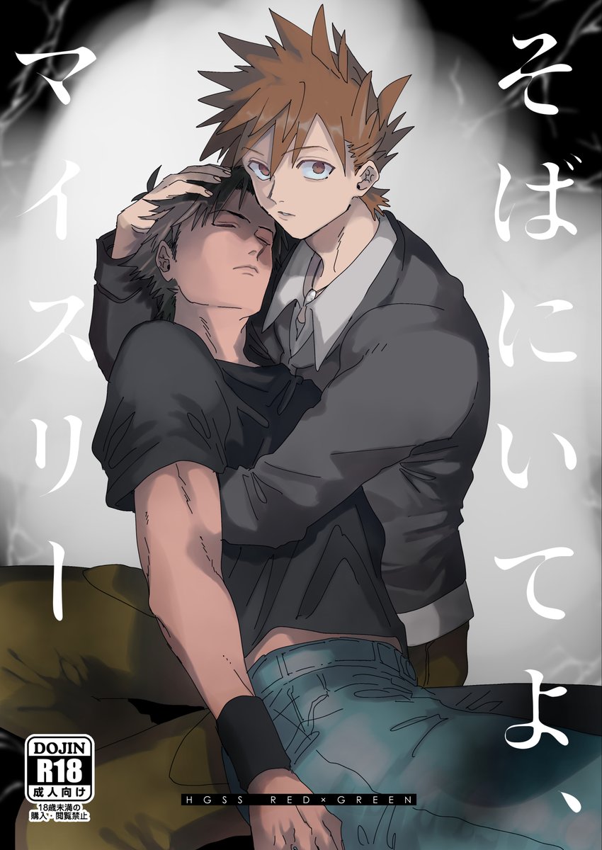 ３冊目の表紙～～( ᐢ. ̫ .ᐢ )HGSS次元です