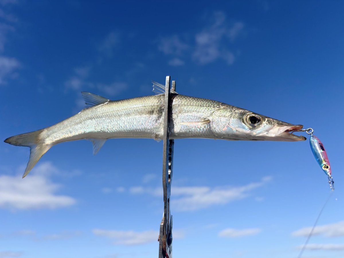 はっしー (@junya1801) / Posts / X