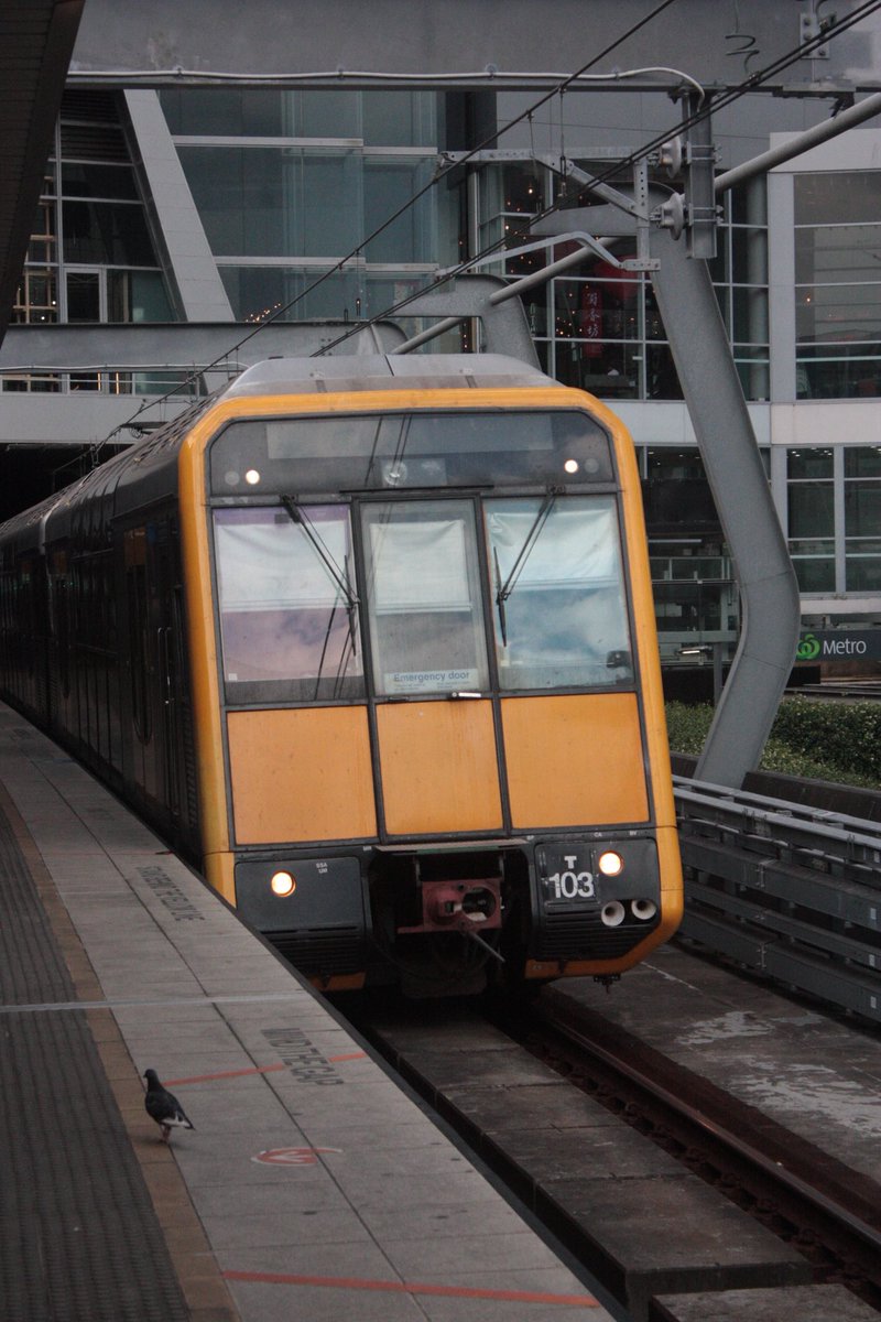 SkipperReu's tweet image. Its out of the closet(may get new lenses tbh