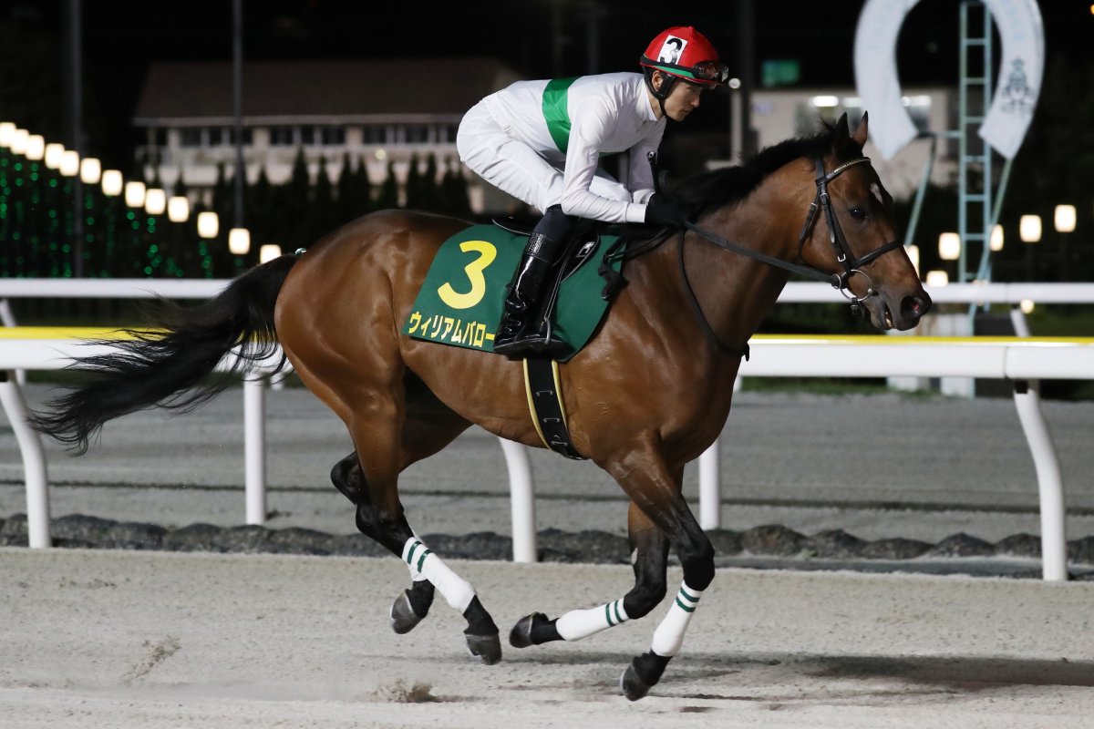 JRA-VAN公式 (@JRAVAN_info) / Highlights / X