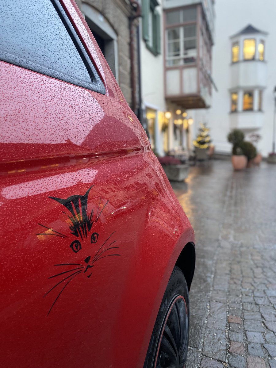 Sonia Zuccaro tweet media