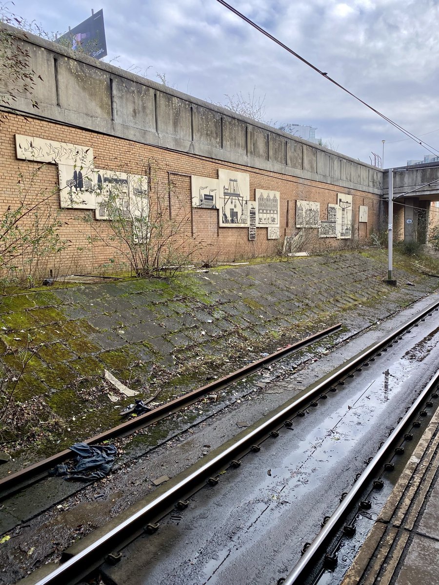 Niall Murphy tweet media